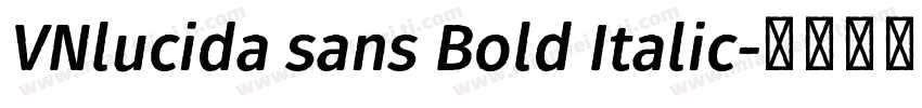 VNlucida sans Bold Italic字体转换